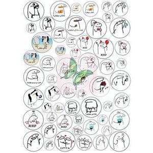 طلق استیکر رزینی ترنسپرنت طرح کاراکتر میقولی(flork)\nسری دوم