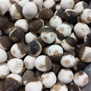 کشک قره قروتی ترش و نرم(300گرمی)