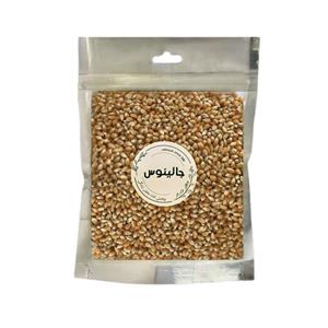ذرت مخصوص پاپ کرن درجه یک(300گرمی)