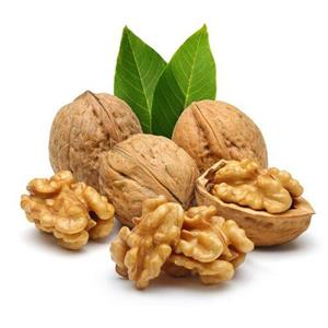 گردو کاغذی امسال مراغه پرمغز و سفید و با کیفیت