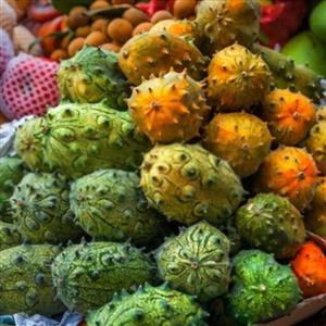 بذر خیار گرد آفریقایی (خربزه شاخ دار)