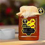 عسل طبیعی سبلان با ساکارز  زیر 3 (3 کیلوگرم) ( از زنبوردار نمونه و )