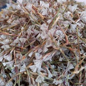 پک دمنوش گون + آویشن+ پونه+ سنبل الطیب