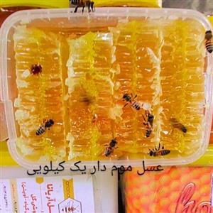 عسل موم دار طبیعی یک کیلویی مزرعه اریانا 