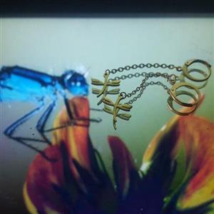 گوشواره سنجاقک استیل ضد حساسیت (155)