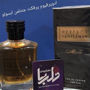 ادکلن پرفکت جنتلمن ابسولو مردانه محصول شرکت آرت اند پرفیوم فرانسه