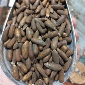چلغوز لوکس دستچین خام(350گرمی)