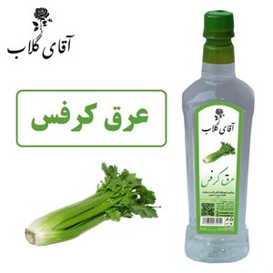عرق کرفس