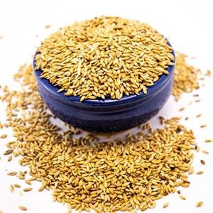 بزرک زرد یا تخم کتان سفید مخصوص پرنده(500  گرمی)