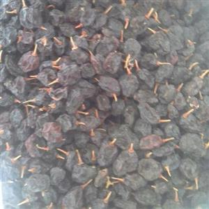 کشمش پلویی سیاه  دربسته های یک کیلویی