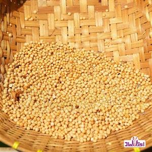 دانه خردل زرد یک کیلویی اعتماد