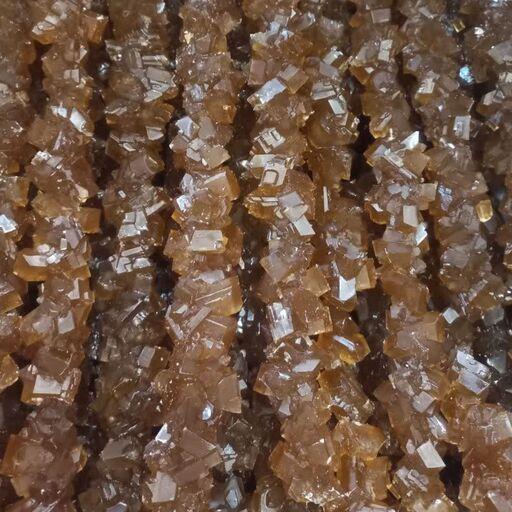 نبات نیشکر