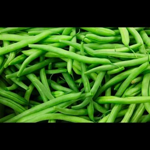 چای ممتاز لاهیجان