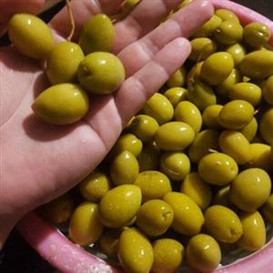زیتون  باهسته سوپر ویژه2کیلویی رودبار