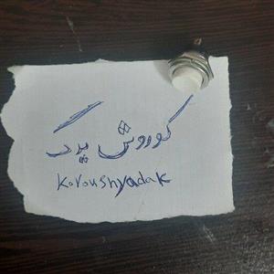 کلید فشاری لحظه ای برق انواع خودرو