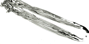 گردنبند ماری استیل