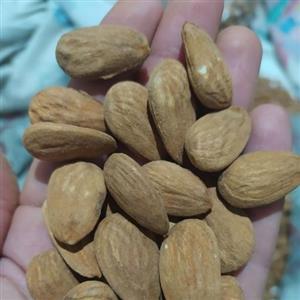 مغز بادام خوش طعم بدون تلخی (500 گرمی)