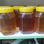 عسل کنار  درجه یک 1000 گرمی  از جنوب استان فارس