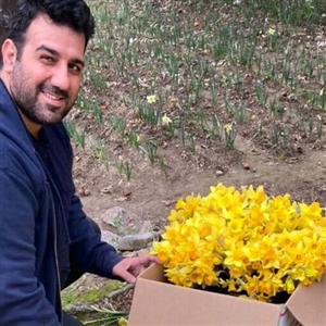 پیاز گل نرگس هلندی ژونکی کاسه نارنجی ( پک پنج عددی)