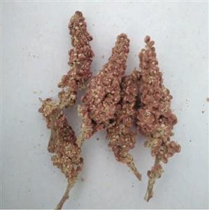 سماق خوشه ای  قهوه ای نیم کیلویی