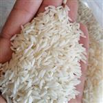برنج طارم هاشمی ممتاز حاج میرزا ( 5 کیلویی) محصول شالیزار آمل