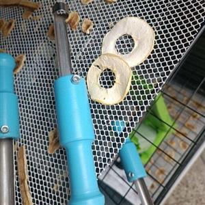 هسته گیر دستی سیب و گلابی ارسال تیپاکس پس کرایه