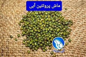 ماش 900 گرمی