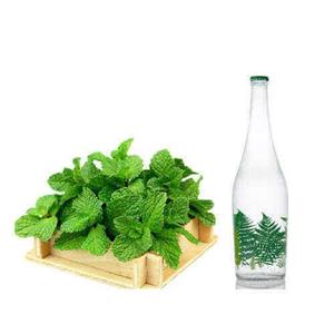 عرق نعناع ممتاز