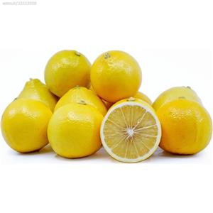 نهال برگاموت پیوندی - BERGAMOT ORANGE