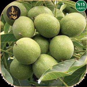 نهال گردو کاغذی