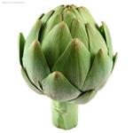 بذر آرتیشو سبز Artichoke خوش طعم