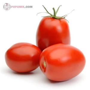 بذر گوجه فرنگی تخم مرغی قرمز 10 عددی