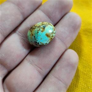 فیروزه اصل نیشابوری