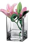 گلدان چارگوش شیشه ای پاشاباغچه