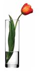 گلدان استوانه ای شیشه ای پاشاباغچه