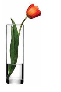 گلدان استوانه ای شیشه ای پاشاباغچه