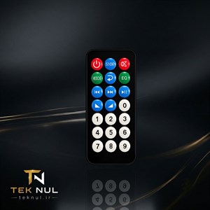 ریموت پخش خودرو