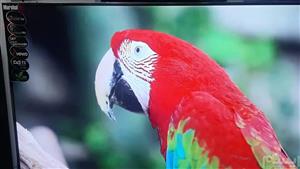 ال ای دی 65 اینچ ساندبار 4K SMART مارشال ME-6507