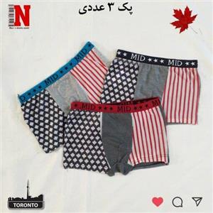 شورت نیم پا عکس دار و طرح پرچم در پک (3)عددی