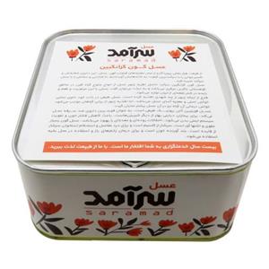 عسل انگبین (گَوَن) طبیعی 1 کیلوگرمی سرآمد(حلب)