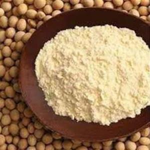 ایزوله سویا پودر 100 گرمی غیر تراریخته برند یوکسین