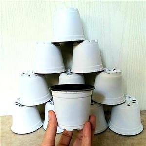 گلدان ژله ای سفید سایز 8 مجموعه 10 عددی