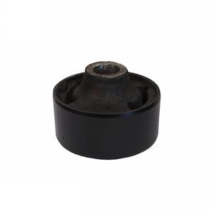 بوش طبق بزرگ آریو Z300