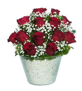 باغ عشق 13 گل رز قرمز گلدان Paşabahçe ترکیه کد 90039 
