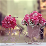 Rainbow Arrangement را دوست داشتم (امارات)