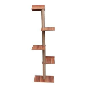 اسکرچر گربه مدل D101