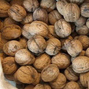 گردو کاغذی تازه ، خشک، درجه 1  850گرمی