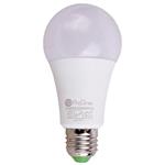 لامپ حبابی LED پرووان ProOne PLL12 E27 12W