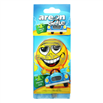 خوشبوکننده کارتی آرئون با رایحه Fresh Air مدل Smile مخصوص خودرو Areon Air Freshener