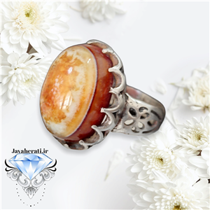 انگشترسلیمانی سپوست طوق پرگاری اصیل کد ja155